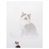 kitten letterhead by mag26s kitten letterhead