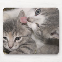 kitten lick mousepad