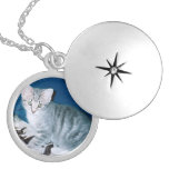 Kitten Locket Necklace