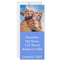 Kitten Love rack cards by GAZoomIn Kitten Love rack cards
