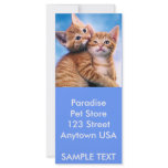 Kitten Love Rack Card