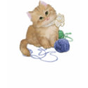 Kitten Love t-shirts