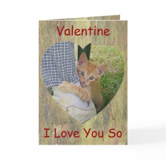 Kitten Love Valentine Card card