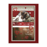 Kitten Love Valentine Post Cards