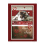 Kitten Love Valentine Post Cards