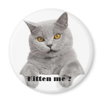 kitten me ? magnets