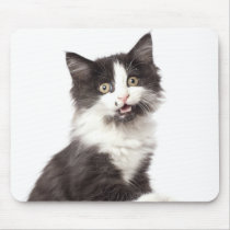 kitten meows mousepads