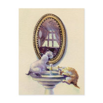 KITTEN MIRROR by SHARON SHARPE postcards by sharonsharpe KITTEN MIRROR by SHARON SHARPE postcards