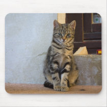 kitten mousepads