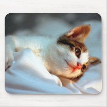 kitten mousepad