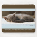 Kitten Mousepad - The Trick