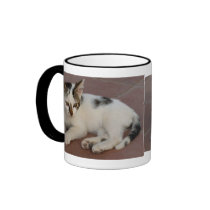 Kitten Mug mugs