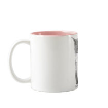 Kitten mugs