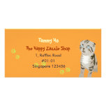 Kitten Namecard Photo Card