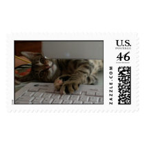 Kitten on keyboard postage by TheImagePlant Kitten on keyboard postage