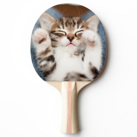 Kitten on lap. Ping-Pong paddle