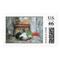 Kitten on table postage