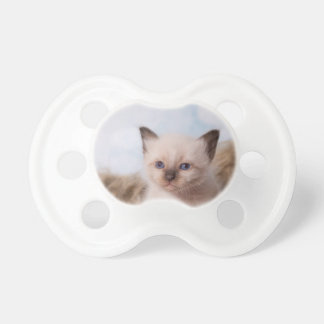 kitten pacifier petco