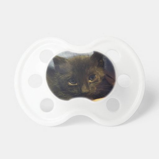 kitten pacifier petco