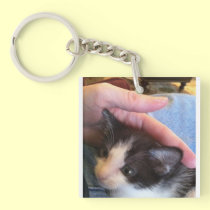 kitten photo key chain by bbillips key chains