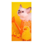 kitten photo card template