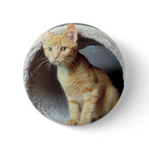 Kitten Play Tunnel buttons