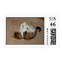 Kitten Playing with Tennis Ball postage
