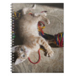 Kitten Playing With Yarn Note Books