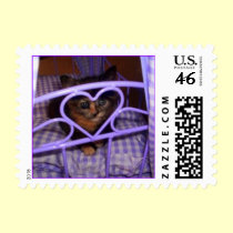 Kitten postage