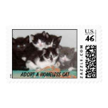 Kitten Postage