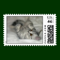 kitten postage postage