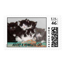 Kitten Postage