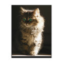Kitten Postcards