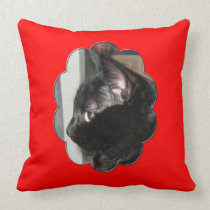 Kitten Profile American MoJo Pillow