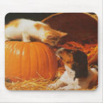 Kitten, Pumpkin and Puppy mousepad