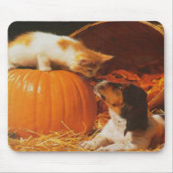 Kitten, Pumpkin and Puppy Mousepad mousepad