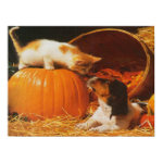 Kitten, Pumpkin and Puppy Print print