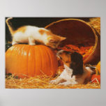 Kitten, Pumpkin and Puppy Print