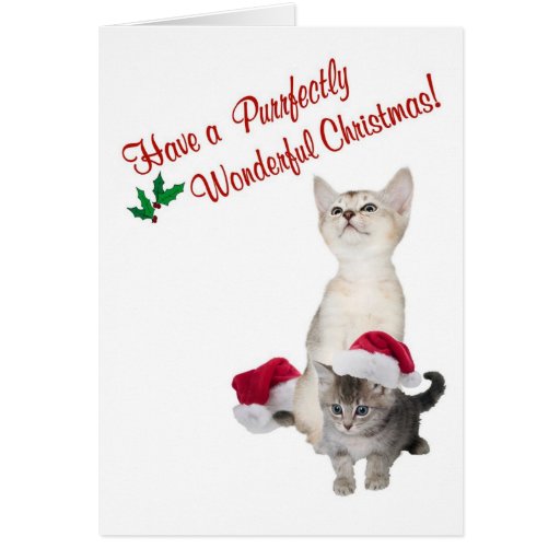 Merry cats. free merry christmas wishes ecards, greeting cards Kitten Purrfectly Wonderful Christmas Wishes Card | Zazzle
