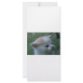 Kitten Custom Rack Cards