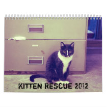 Kitten Rescue 2012 Calendar