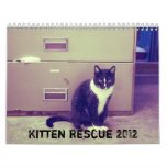 Kitten Rescue 2012 Calendar