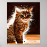Kitten Sitting in Sun poster