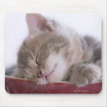 Kitten Sleeping in Bowl 2 Mousepads