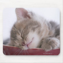Kitten Sleeping in Bowl 2 Mousepads