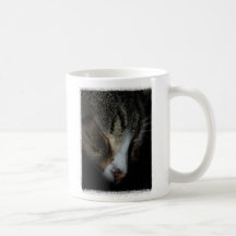 Kitten Sleeping Mug CUSTOMIZABLE