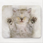 Kitten Sleeping on a White Fluffy Carpet, High Mouse Pads