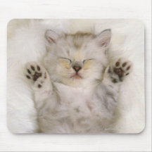 Kitten Sleeping on a White Fluffy Carpet, High Mouse Pads