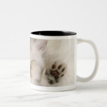 Kitten Sleeping on a White Fluffy Carpet, High Mug