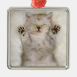Kitten Sleeping on a White Fluffy Carpet, High Christmas Ornaments